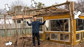 How To Make A FREE Grape Arbor!