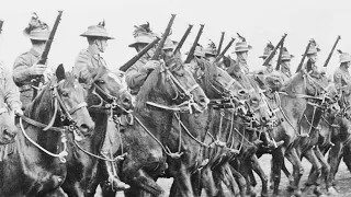 The Australian Light Horse