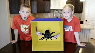 WHAT'S INSIDE THE BOX CHALLENGE!! | SUPER CRAZY!