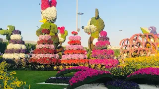 Чудо-сад в пустыне. Dubai Miracle Garden. ОАЭ