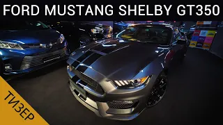 Тизер "Обзор нового 2019 ФОРД МУСТАНГ ШЕЛБИ GT350. Номер один на дороге - FORD MUSTANG SHELBY GT350"