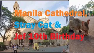 Manila Cathedral, Stray Cat & Jef Birthday