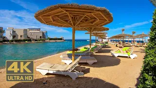 Seagull Beach Resort Hurghada, Egypt 4K 🇪🇬