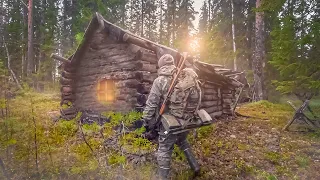 СТАРАЯ ИЗБА В ЛЕСУ НО БЫЛО ПОЗДНО. ЧЕМ ЗАКОНЧИЛСЯ ПОХОД В ТАЙГУ. ОДИН В ДИКОМ ЛЕСУ. НАХОДКА В ЛЕСУ.