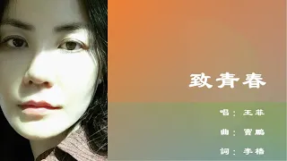 王菲 Faye Wong 致青春