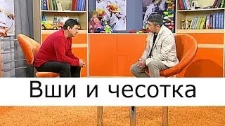 Вши и чесотка -  Школа доктора Комаровского