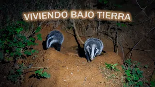 Viviendo bajo tierra