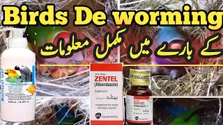 What is Deworming?| How to deworming of birds | Deworming tips |Birds Deworming medicine| Urdu|Hindi