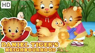 Daniel Tiger - My Baby Sister is the Best! | Videos for Kids