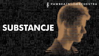 Pawbeats ft. Mama Selita - Substancje