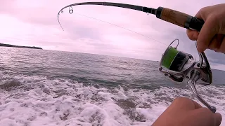 Pêche en surface depuis la plage !