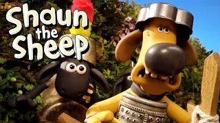 Timmy and the Dragon | Shaun the Sheep Season 5 | Full Episode