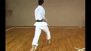 SKIF Heian Nidan