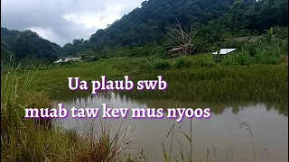 Ua plaub swb muab taw kev mus nyoos thiaj khaum