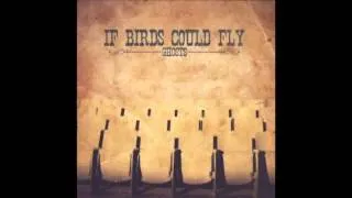 If Birds Could Fly - Skin & Bones (Album Version)