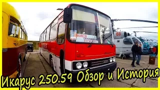 Икарус 250.59 Обзор и История Модели. Венгерский автобус, покоривший СССР