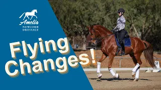 Flying Changes: Beginner, Medium and Advanced!!