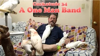 How I Entertain My Parrots | Ep.34: Be a One Man Band for Birds | Cockatude: Cockatoos with Attitude