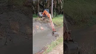 BONGKAR SARANG IKAN BELUT DAN LELE@SHOTS #alatberat#excavator#operator#cuciparit#viral#vidio#shots