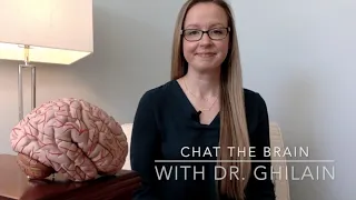 What is a neuropsychologist? Why go to a neuropsychologist? What do you gain?