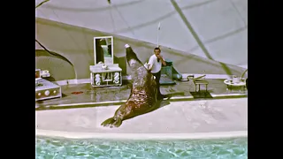 1968 8mm Home Movie - SEA WORLD SAN DIEGO, View from El Cortez