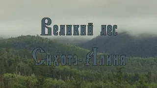 Великий лес Сихотэ-Алиня