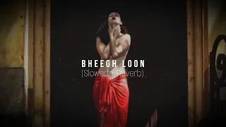 Bheegh Loon Female | Slowed Reverb | Ankit Tiwari & Prakriti