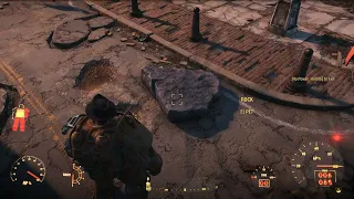 Fallout-4 Pet rock