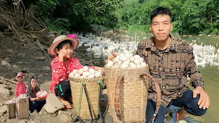 FULL VIDEO: 30 days Harvest squash, tomatoes, coconuts, duck eggs to the market | Triệu Văn Tính