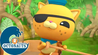 Octonauts - Aventure sur le fleuve Amazone | Dessins animés pour enfants