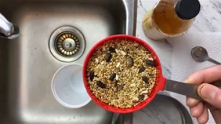 What is seed sprouting? Learn the ultimate sprouting technique to feed your birds better!