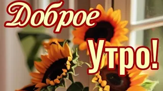 Хорошего Вам настроения...Чудесного дня...Доброе утро 💖😊