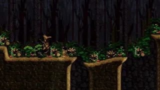 Donkey Kong Country 2 - Forest Interlude 1 Hour