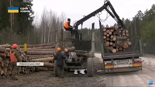 Лісівники Рівненщини й Волині відправили деревину на потреби ЗСУ