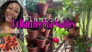 Dollar Tree Stackable Planter + Herb update