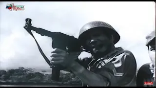 Phim Lẻ Chiến Tranh Việt Nam Xưa Hay Nhất Mọi Thời Đại - Phim Việt Nam Kinh Điển