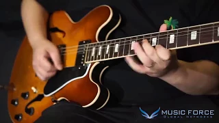 [MusicForce] Gibson ES - 335 Demo