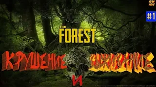 The Forest - Крушение и выживание! #1 выживание в лесу прохождение стрим