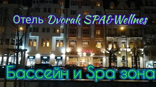 Отель Dvorak SPA & Wellnes - бассейн и Spa зона. Карловы Вары