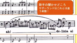 クラシック鑑賞術ヴェルディ＜椿姫＞からアリア＜ああ、そはかの人か～～花から花へ＞