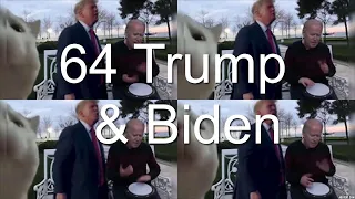 Trump and Biden vibes together, 64 edition