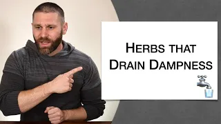 🌿 Herbology 1 Review - Herbs that Drain Dampness (Extended Live Lecture)