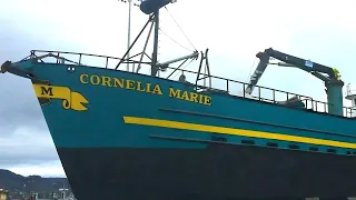 Deadliest Catch: What Happened To The Cornelia Marie?