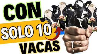 💰 El mejor NEGOCIO es la LECHERIA SEMIESTABULADA, empiece su riqueza con SOLO 10 VACAS 🤩