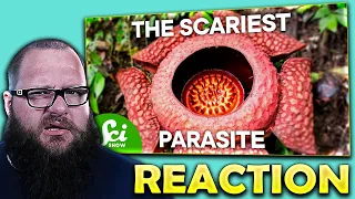 Accolonn Reacts to The 4 Creepiest Parasites on Earth (This Will Keep You Up at Night!)