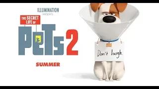 The Secret Life Of Pets 2 (2019) Official Trailer 2