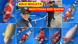 CÁ KOI NHẬT TIỀN TỈ tại 63rd NIIGATA NOGYOSAI KOI SHOW | CÁ KOI KHỦNG trị giá HÀNG TỈ ĐỒNG !!!