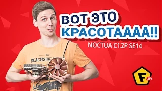 Обзор кулера для процессора Noctua NH C12P SE14 ✔ Крутое и невысокое охлаждение для процессора