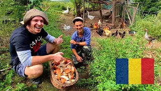 LIVING OFF-GRID in Romanian countryside 🇷🇴