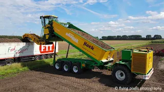 Aardappels rooien | Loading & Harvesting potatoes | Modern Agricultural Equipment & Machinery